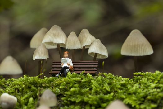 a small figure reading the newspaper and resting under the fungus mycena arcangeliana in the forest in holland