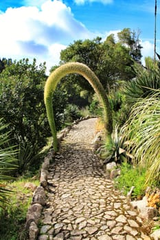 Beautiful succulent and cactus garden in Sintra, Lisbon, Portugal.