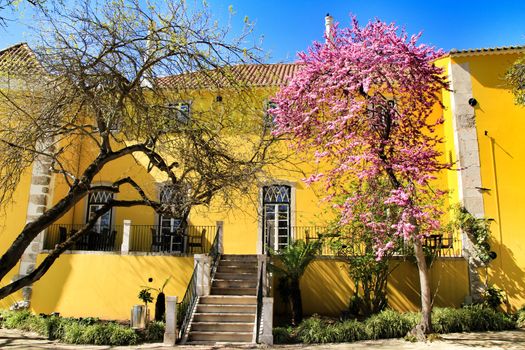 Beautiful yellow house with colorful garden in Oeiras, Lisbon, Portugal