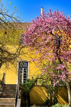 Beautiful yellow house with colorful garden in Oeiras, Lisbon, Portugal