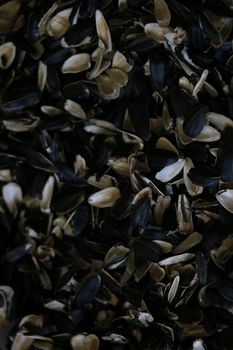 Close-up of peel of sunflower seeds. Waste from seeds background