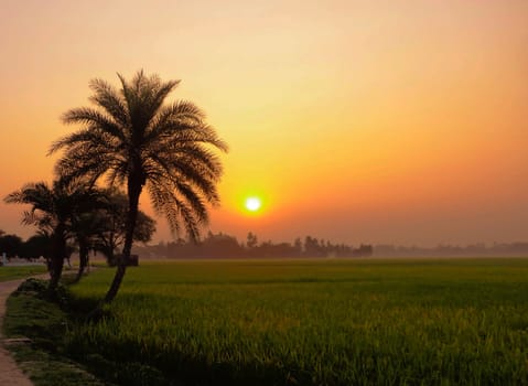 Beautiful pictures of  Bangladesh