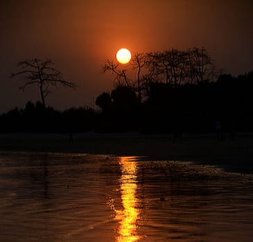 Beautiful pictures of  Bangladesh