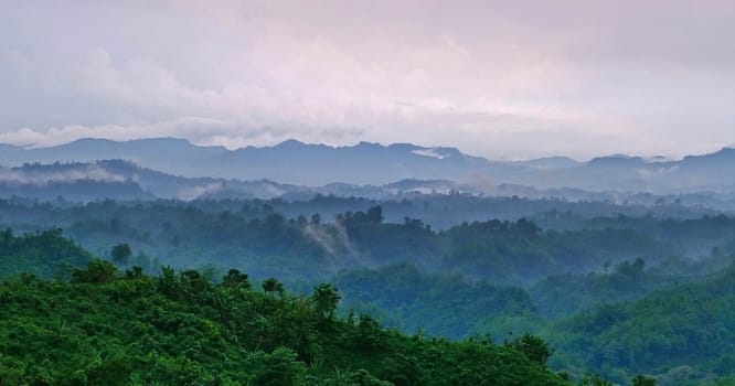 Beautiful pictures of  Bangladesh