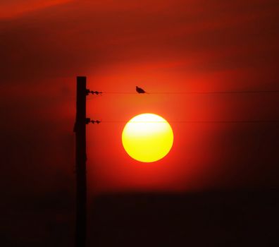 Beautiful pictures of  Bangladesh