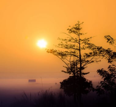 Beautiful pictures of  Bangladesh