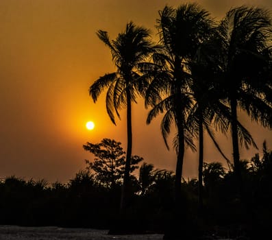 Beautiful pictures of  Bangladesh