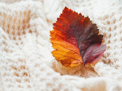 Bright and colorful autumn leaf on hand made cable-knit sweater sweater. Texture of warm knitted fabric with pattern. White crumpled cardigan. Cozy fall outfit for snuggle weather.