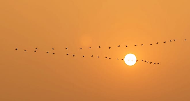Beautiful pictures of  Bangladesh