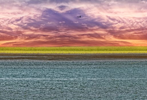 Beautiful pictures of  Bangladesh