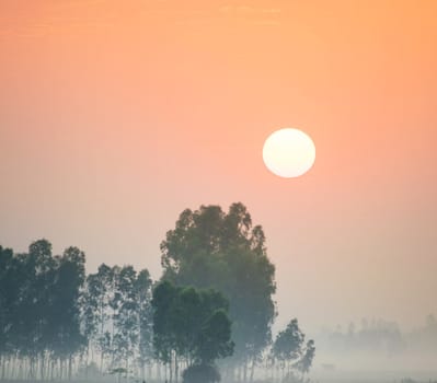 Beautiful pictures of  Bangladesh