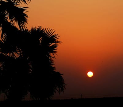 Beautiful pictures of  Bangladesh