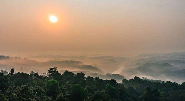 Beautiful pictures of  Bangladesh