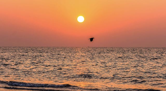 Beautiful pictures of  Bangladesh