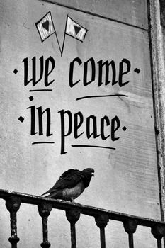 Pigeon perched on a balcony with peace message in Lisbon
