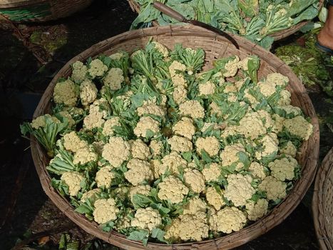 fresh tasty and healthy Cauliflower stock on shop