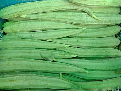 fresh and healthy green Ridge Gourd on shop