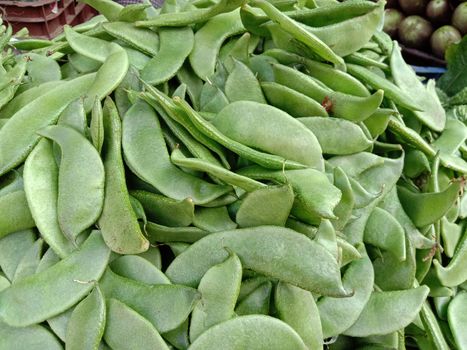 fresh and healthy green beans stock on shop