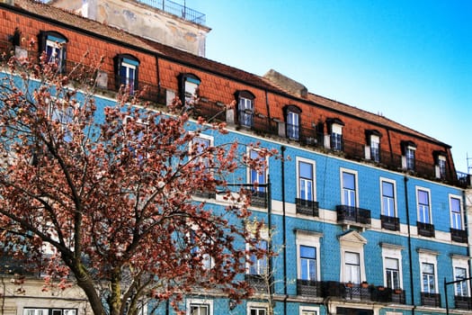 Old colorful houses and streets of Lisbon, Portugal in Spring. Majestic facades and old street lights.