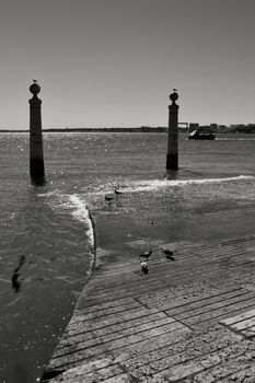 Pillars of Do Comercio square on the banks of the Tagus River in Lisbon in a sunny day of spring. Segulls on the top.