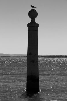 Pillar of Do Comercio square on the banks of the Tagus River in Lisbon in a sunny day of spring. Segull on the top.