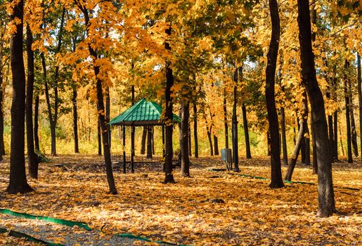 Autumn sunny landscape. The road in the park leads to the gazebo. Autumn park of trees and fallen autumn leaves on the ground in the park on a sunny October day.template for design. Copy space.