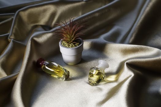 .Perfume bottles with succulent on gold folded silk fabric background. Luxery Scent fragrance cosmetic beauty product.