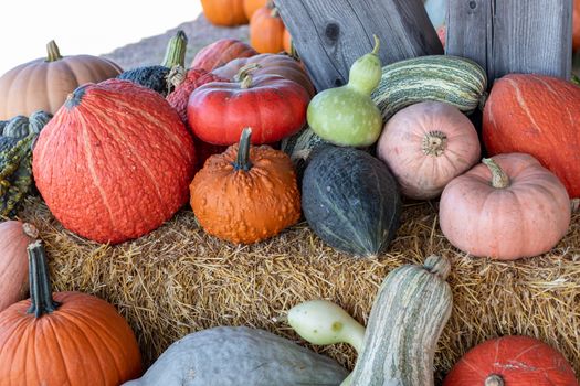 Front View of Farmers Market Ground of pumpkins and Gourds on an Hay bale. High quality photo