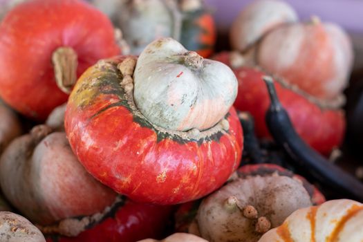 High angle view of a stack of Turban Squash . High quality photo