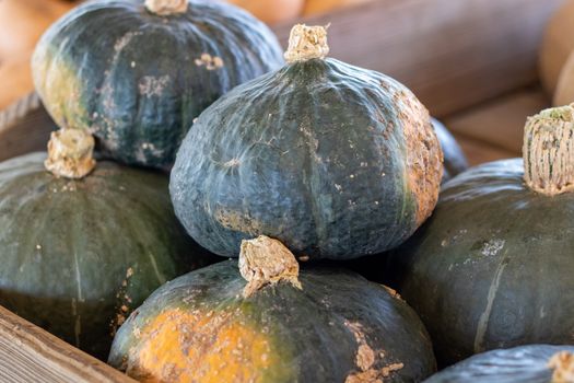 Angle View of a stack of Buttercup Squash at Farmers Market . High quality photo