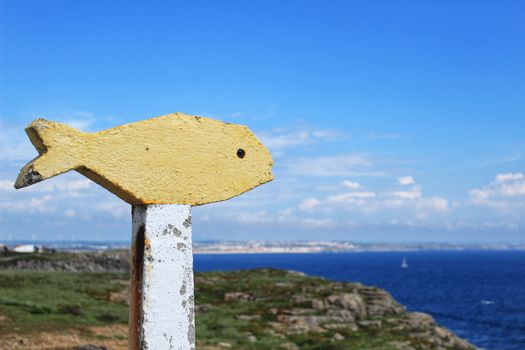Colorful yellow stone fish in a viewpoint in Peniche, Portugal. Atlantic ocean in the background