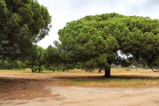 Mountain landscape with green vegetation in spring in Lisbon, Portugal