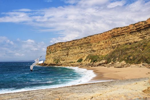 Crystal clear and wild waters in Praia da Foz, Sesimbra, Portugal. Golden sand , seagulls flying, Cliffs and rock formation