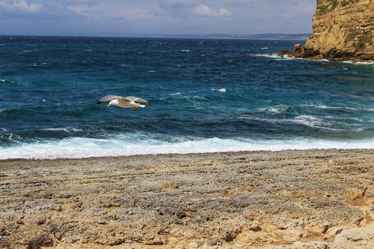 Crystal clear and wild waters in Praia da Foz, Sesimbra, Portugal. Golden sand , seagulls flying, Cliffs and rock formation