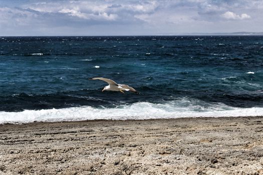 Crystal clear and wild waters in Praia da Foz, Sesimbra, Portugal. Golden sand , seagulls flying, Cliffs and rock formation