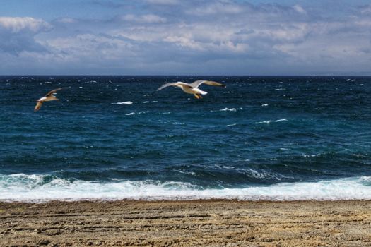 Crystal clear and wild waters in Praia da Foz, Sesimbra, Portugal. Golden sand , seagulls flying, Cliffs and rock formation