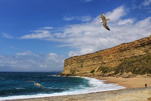 Crystal clear and wild waters in Praia da Foz, Sesimbra, Portugal. Golden sand , seagulls flying, Cliffs and rock formation
