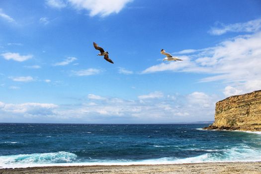 Crystal clear and wild waters in Praia da Foz, Sesimbra, Portugal. Golden sand , seagulls flying, Cliffs and rock formation