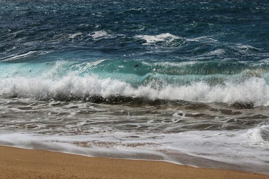 Crystal clear and wild waters in Praia da Foz, Sesimbra, Portugal. Golden sand , seagulls flying, Cliffs and rock formation