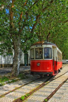 Colorful red tram through the streets of Sintra, Lisbon in Spring.