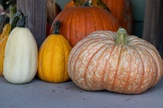 Front View of Farmers Market group of pumpkins . High quality photo