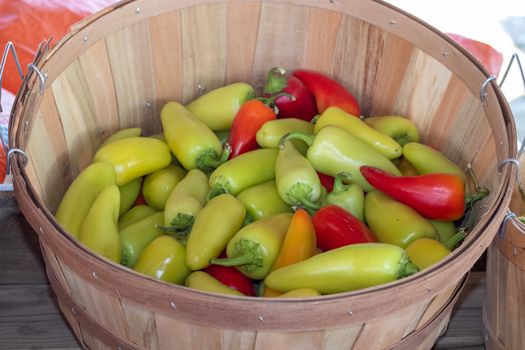 Basket of Red and Green Hot peppers . High quality photo