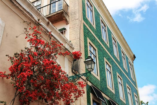 Old colorful houses and streets of Lisbon, Portugal in Spring. Majestic facades and old street lights.