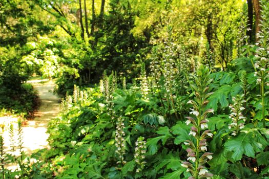 Leafy and green gardens with large trees in the Botanical Garden of Lisbon