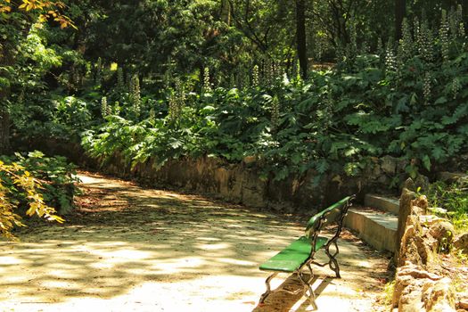 Leafy and green gardens with large trees in the Botanical Garden of Lisbon