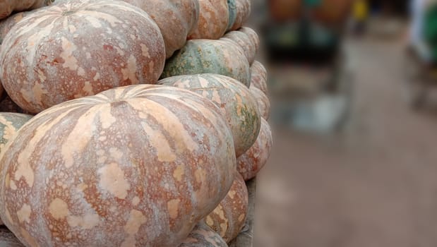 fresh healthy pumpkin stock on market for sell
