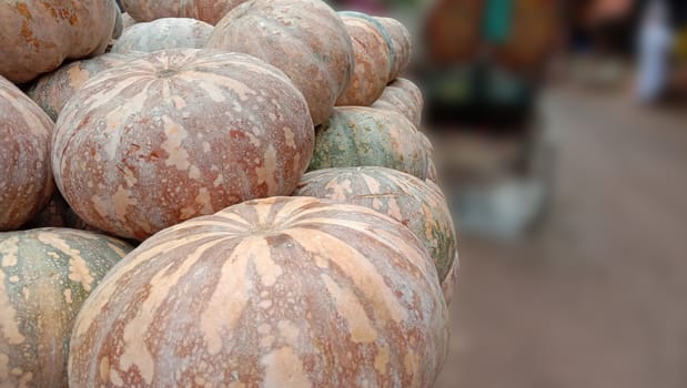 fresh healthy pumpkin stock on market for sell