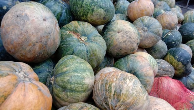 fresh healthy pumpkin stock on market for sell