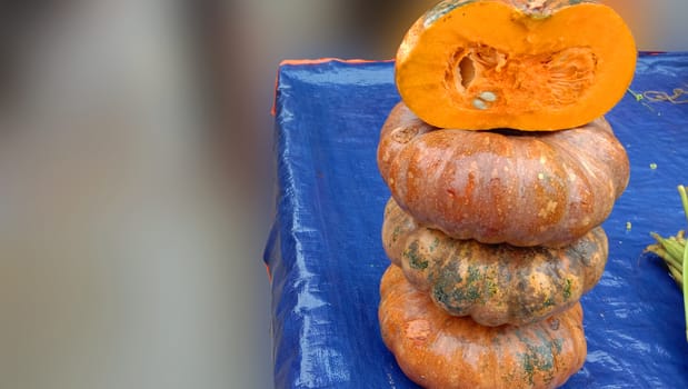 fresh healthy pumpkin stock on market for sell
