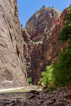 Canyon landscape in Zion National Park, Utah, USA